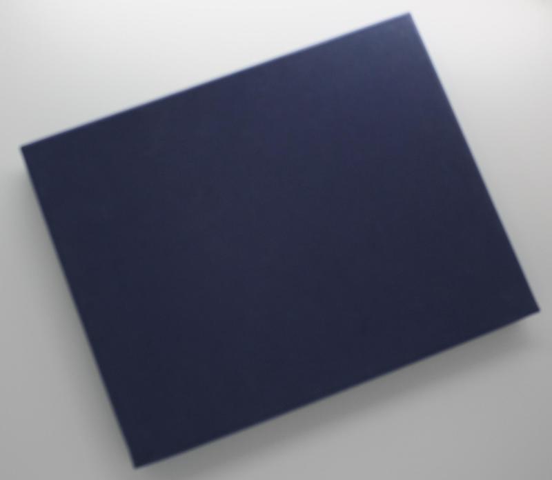 Plakett: Telemarksbataljonen / Iraq