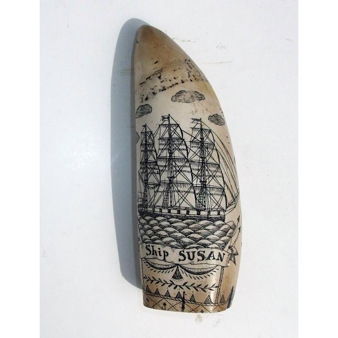 Hvaltann Skrimshaw Replika