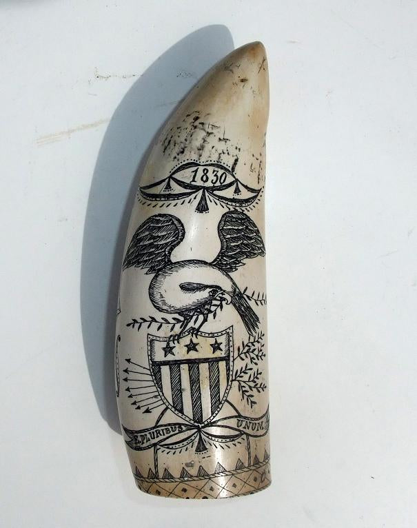 Hvaltann Skrimshaw Replika