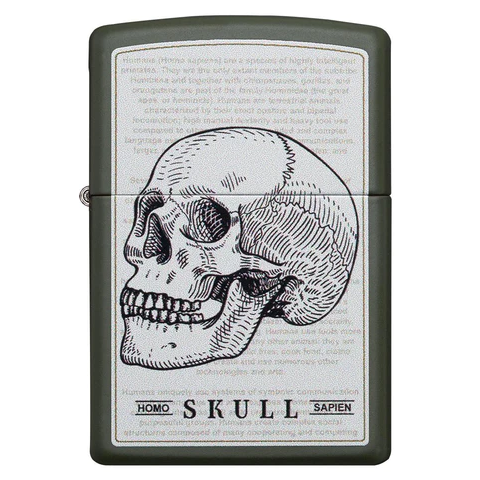 Memento Mori: Skull