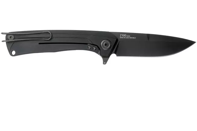 ANV Z100 Bodnout