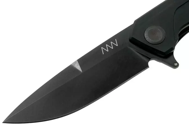 ANV Z100 Bodnout