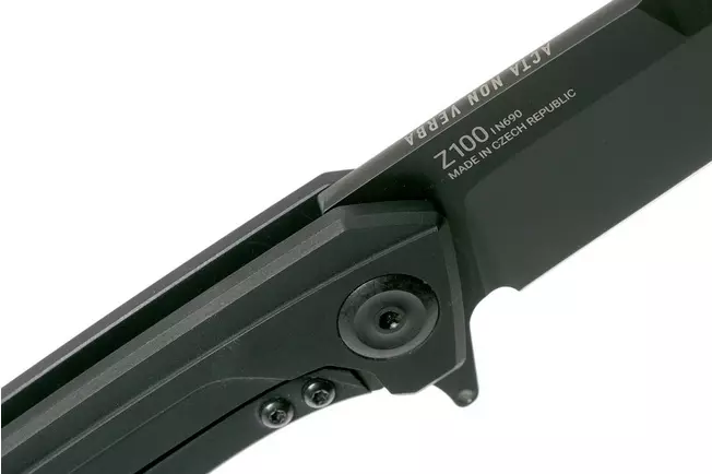 ANV Z100 Bodnout