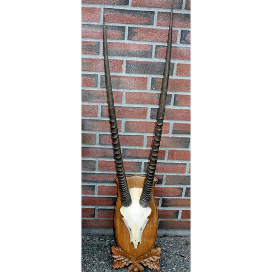 Montasje Oryx (1)