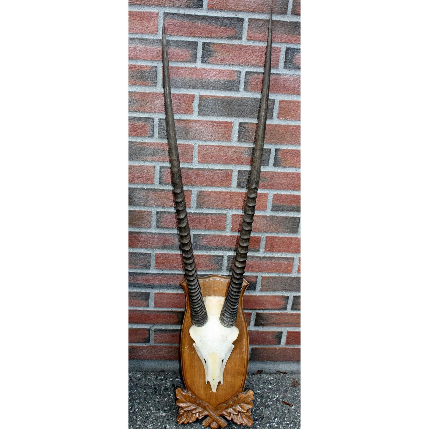 Montasje Oryx (2)